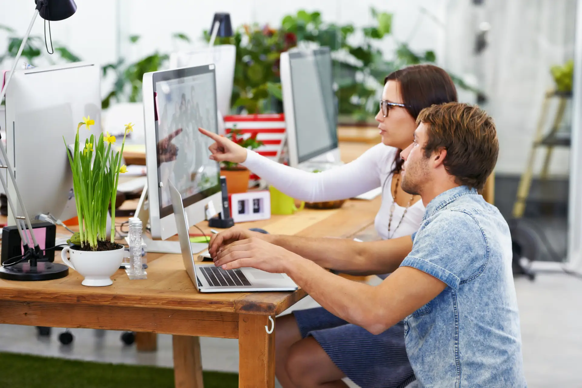 Custom WordPress Development Company
